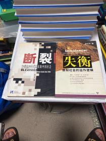 断裂：20世纪90年代以来的中国社会