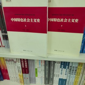 中国特色社会主义史（上、下卷）