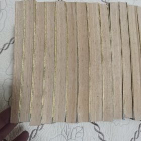 白话资治通鉴(全二十册)