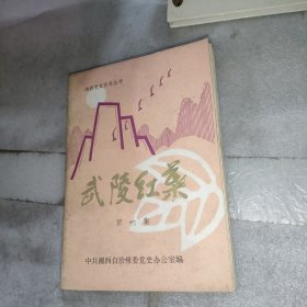 武陵红叶第二集