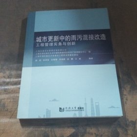 城市更新中的雨污混接改造：工程管理实务与创新