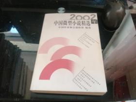2002年中国微型小说精选