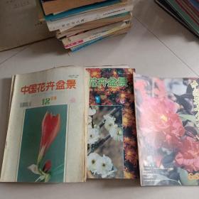 中国花卉盆景【1985.9.11】【1996.1——12】【1995.8——12】共十九本合售