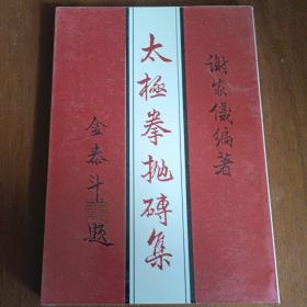 《太极拳抛砖集》谢家仪著