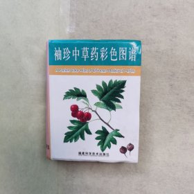 袖珍中草药彩色图谱