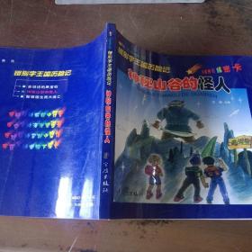 错别字王国历险记（神秘山谷的怪人、智慧国生死大逃亡）两本合售