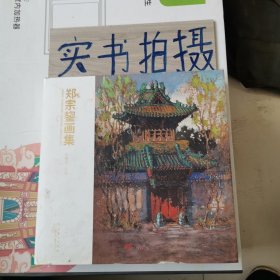 郑宗鋆画集