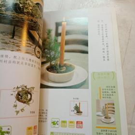 图解组合盆栽制作与观赏