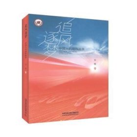 追风逐梦:中国人的高铁故事 9787113265960 毕锋 中国铁道出版社