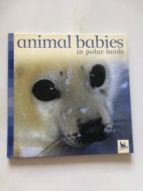 Animal Babies in Polar Lands【英文原版书】