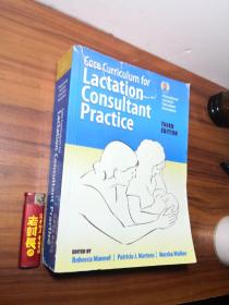 CORE CURRICULUM FORLACTATION CONSUITANT PRACTICE