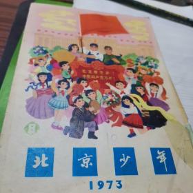 北京少年1973年8期