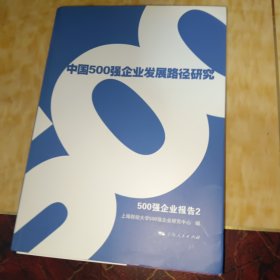 中国500强企业发展路径研究