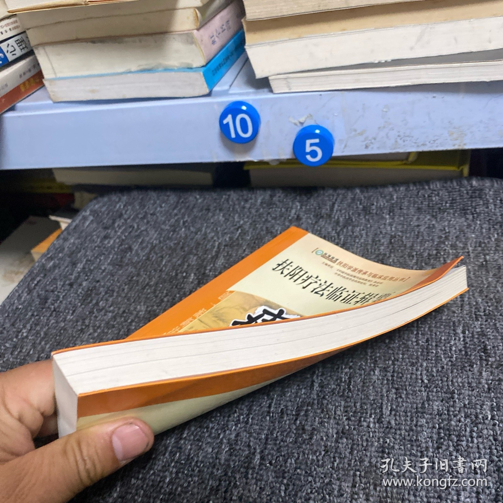 扶阳疗法临证辑要