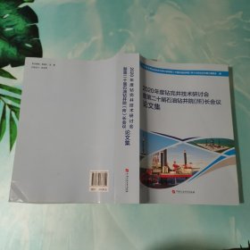 2020年度钻完井技术研讨会暨第二十届石油钻井院（所）长会议论文集