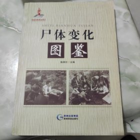 尸体变化图鉴