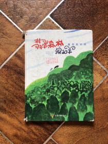 暴风雨之夜/翡翠森林狼和羊第1册：《暴风雨之夜》