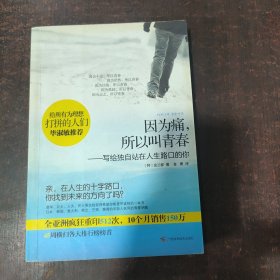 因为痛，所以叫青春：写给独自站在人生路口的你