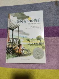 暴风雨中的孩子：美国凯迪克银奖作品