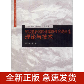 層狀鹽巖溶腔儲庫原位溶浸建造理論與技術(shù)