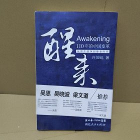 醒来：110年的中国变革