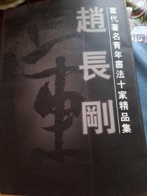 当代著名青年书法十家精品集 赵长刚