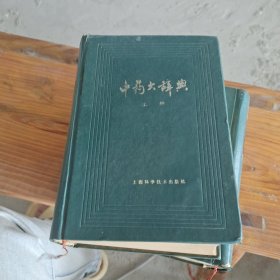 中药大辞典 上 下