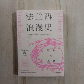 法兰西浪漫史野心与爱情西奥多·泽尔丁著沃尔夫奖作者法国文化入门优质读物