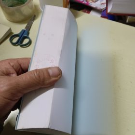 名师教案精选/语文教学新思维丛书