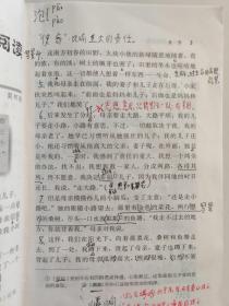 义务教育课程标准实验教科书 语文 七年级 上册