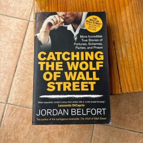 Catching the Wolf of Wall Street[紧追华尔街之狼]