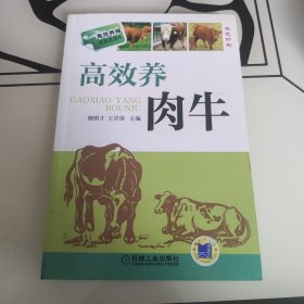 高效养殖致富直通车：高效养肉牛