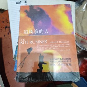 追风筝的人