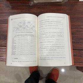 21世纪技术经济学（2018年卷）