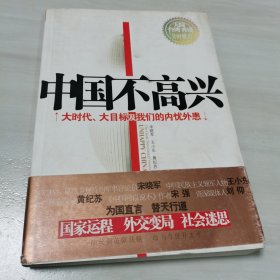 中国不高兴：大时代大目标及我们的内忧外患