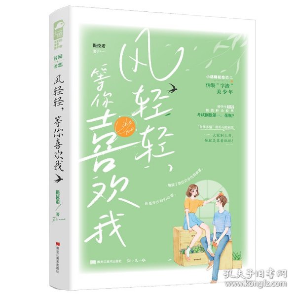风轻轻，等你喜欢我