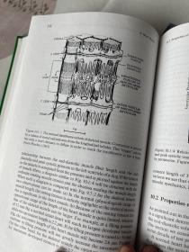 现货  英文原版 Biomechanics: Mechanical Properties of Living Tissues 活组织的力学特性 生物力学 冯元桢 著