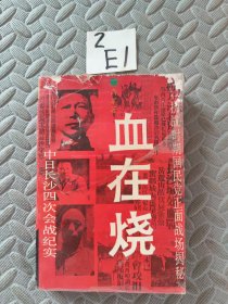 血在烧:中日长沙四次会战纪实