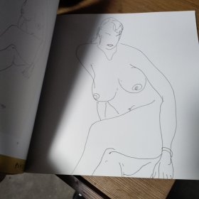 年年璀璨吴冠中画展