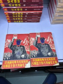 《以林副统帅为光辉榜样无限忠于伟大领袖毛主席》上下两册全