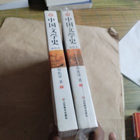 中国文学史（插图本）（全2册）