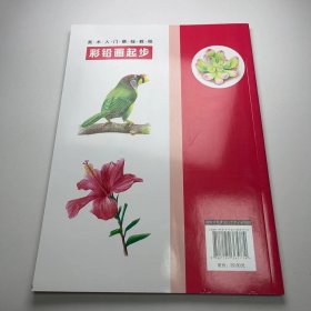 【正版二手】美术入门基础教程彩铅画起步张恒国9787122365774化学工业出版社