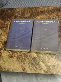 儿子眼中的赫鲁晓夫   上下