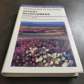Introduction To California Desert Wild flowers