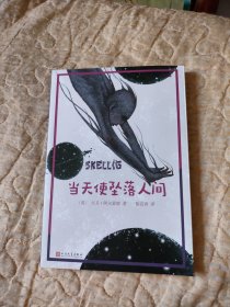 当天使坠落人间（大卫·阿尔蒙德作品集）