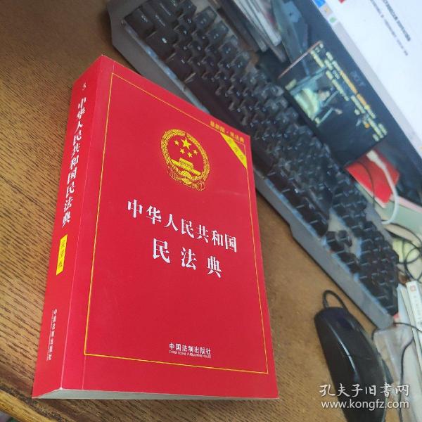 中华人民共和国民法典 2020年6月新版