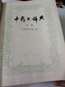 中药大辞典上下册(16开本)