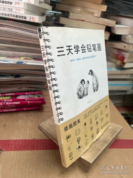 三天学会铅笔画