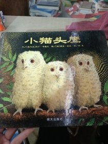 小猫头鹰：信谊世界精选图画书