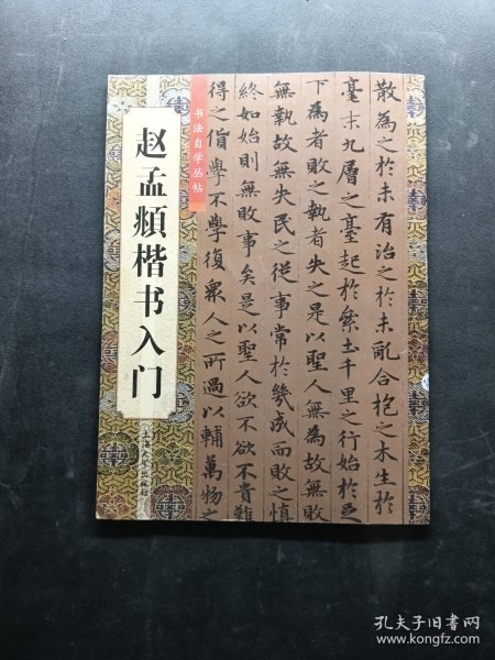 赵孟頫楷书入门